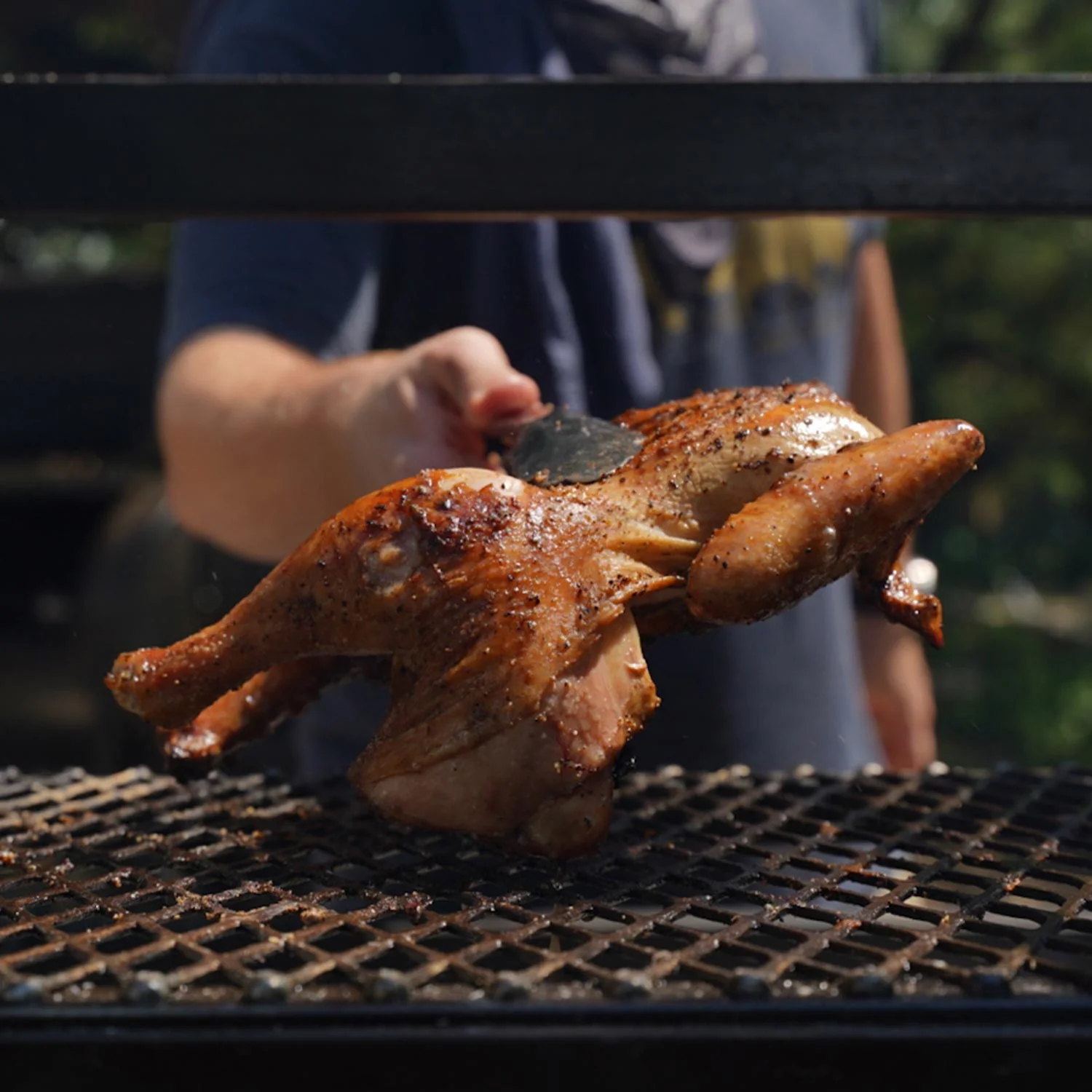 Heritage, Slow-Growth Whole Chicken - Image 3